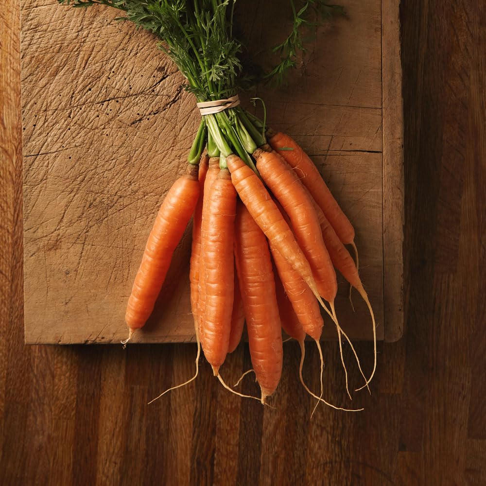 Carrot Amsterdam Forcing 3 Seeds – One of the Earliest to Harvest for Sweet ‘Finger Carrots’ - RHS Award of Garden Merit – for Your Beautiful Kitchen Garden