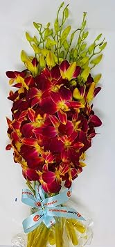Orchid - Fresh Cut Flowers - Ten Stems of Dendrobium Sonia Tinted Yellow Free Vase