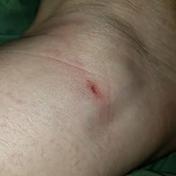 cobb hill devyn chukka boot