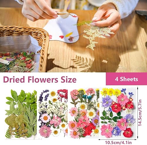 Miniatura 2 de GUTLIVTAG Hojas secas prensadas, hojas prensadas naturales a granel emparejadas con flores prensadas para manualidades, rellenos de resina, álbumes