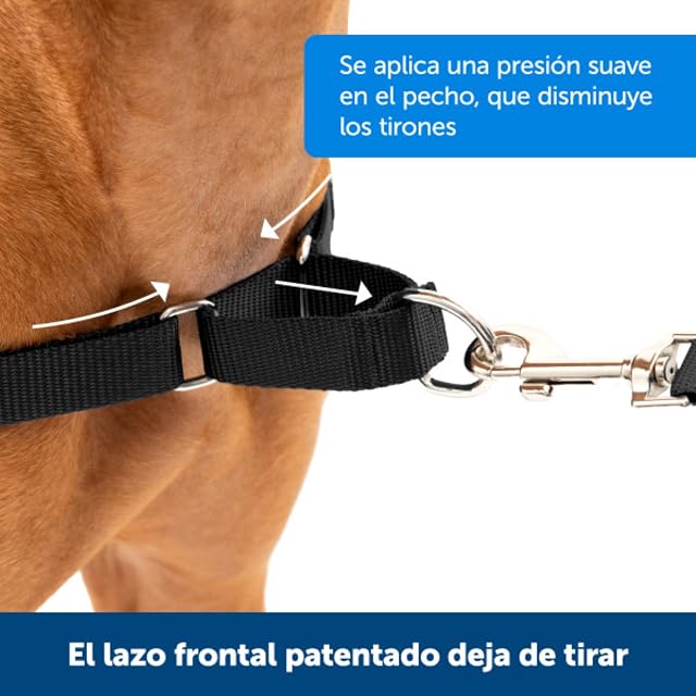 Foto 2 de 8 de Arnés para Perros Easy Walk de PetSafe, arnés antitirones para Perros