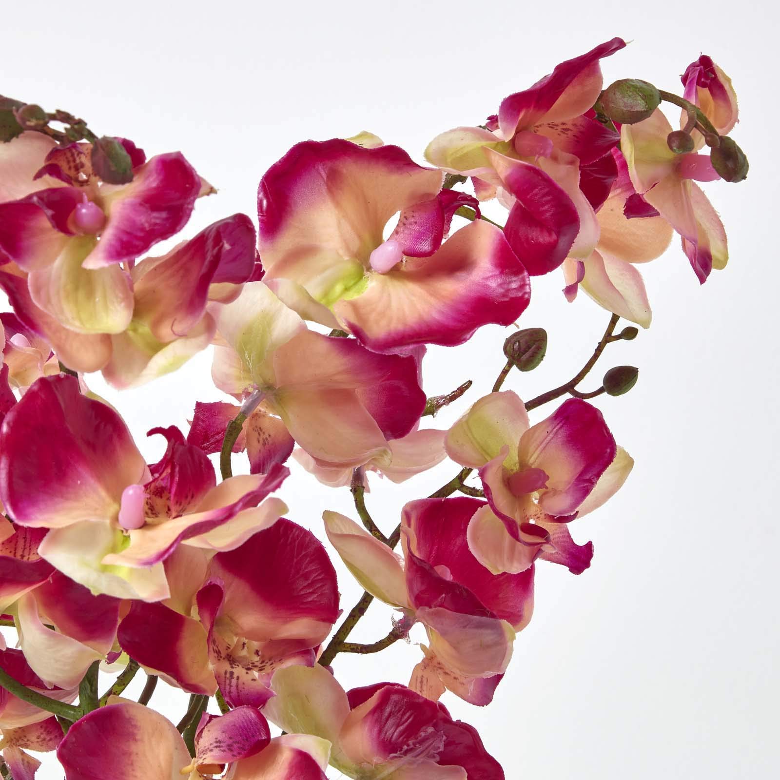 HOMESCAPES Grande Orchidée Artificielle Rose en Motte Effet Mousse 60 cm