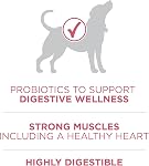 Purina ONE +Plus Dry Dog Food, Digestive Health with Chicken - 5.4 kg Bag