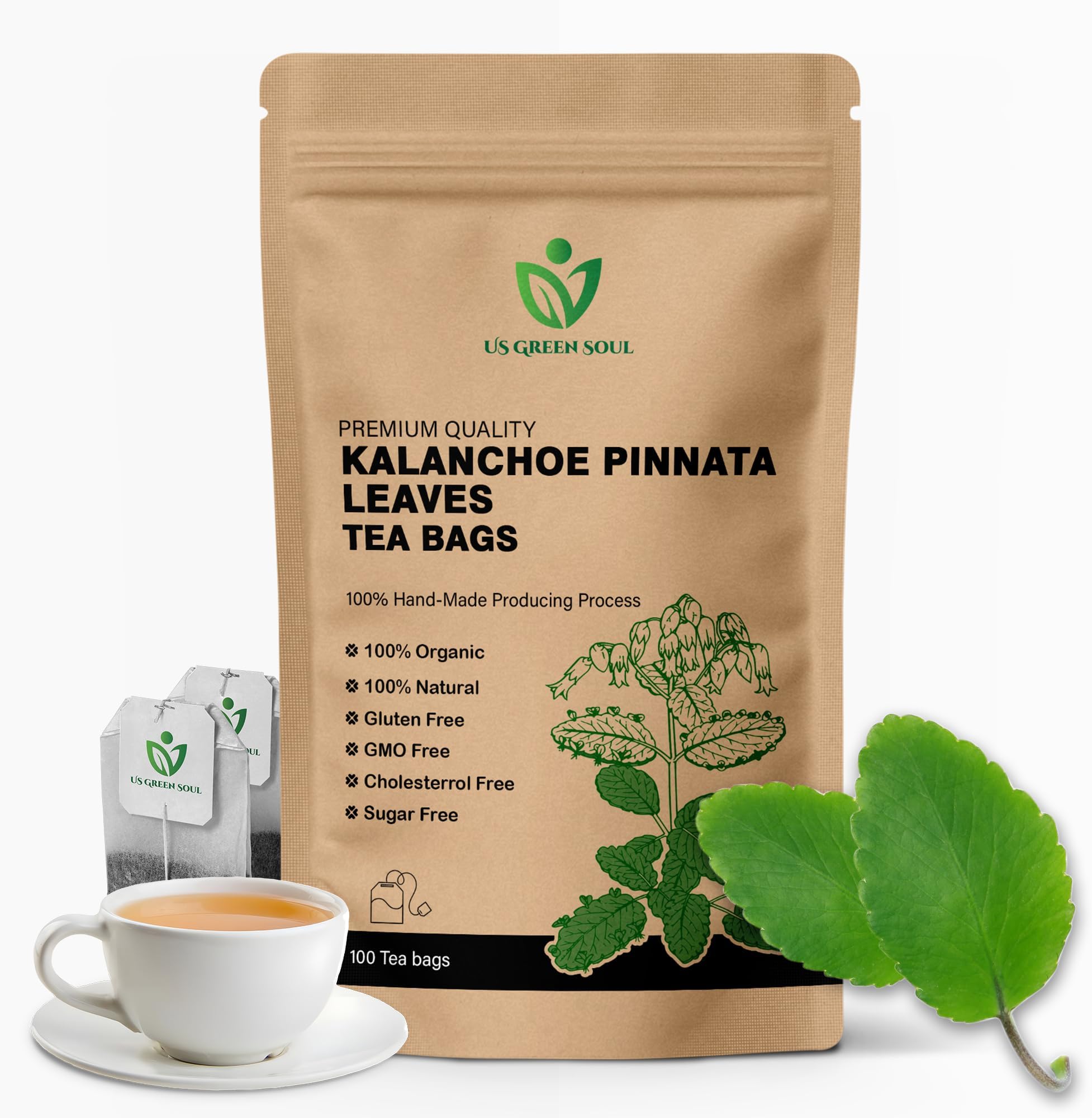 Kalanchoe Pinnata Leaves Tea Bags 50 Tea Bags Healthy Organic Leaves Herbal Tea