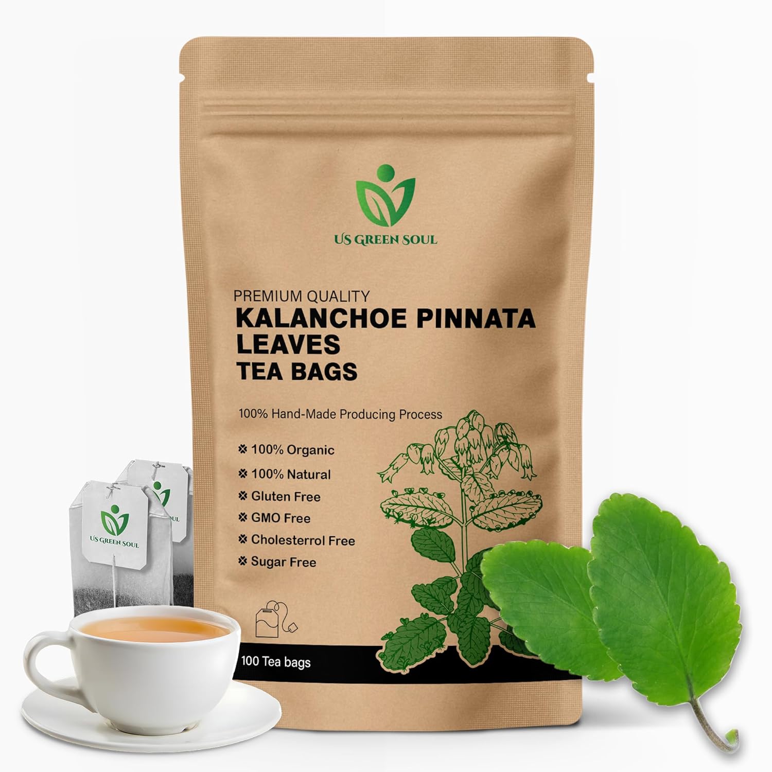 Kalanchoe Pinnata Leaves Tea Bags 50 Tea Bags Healthy Organic Leaves Herbal Tea