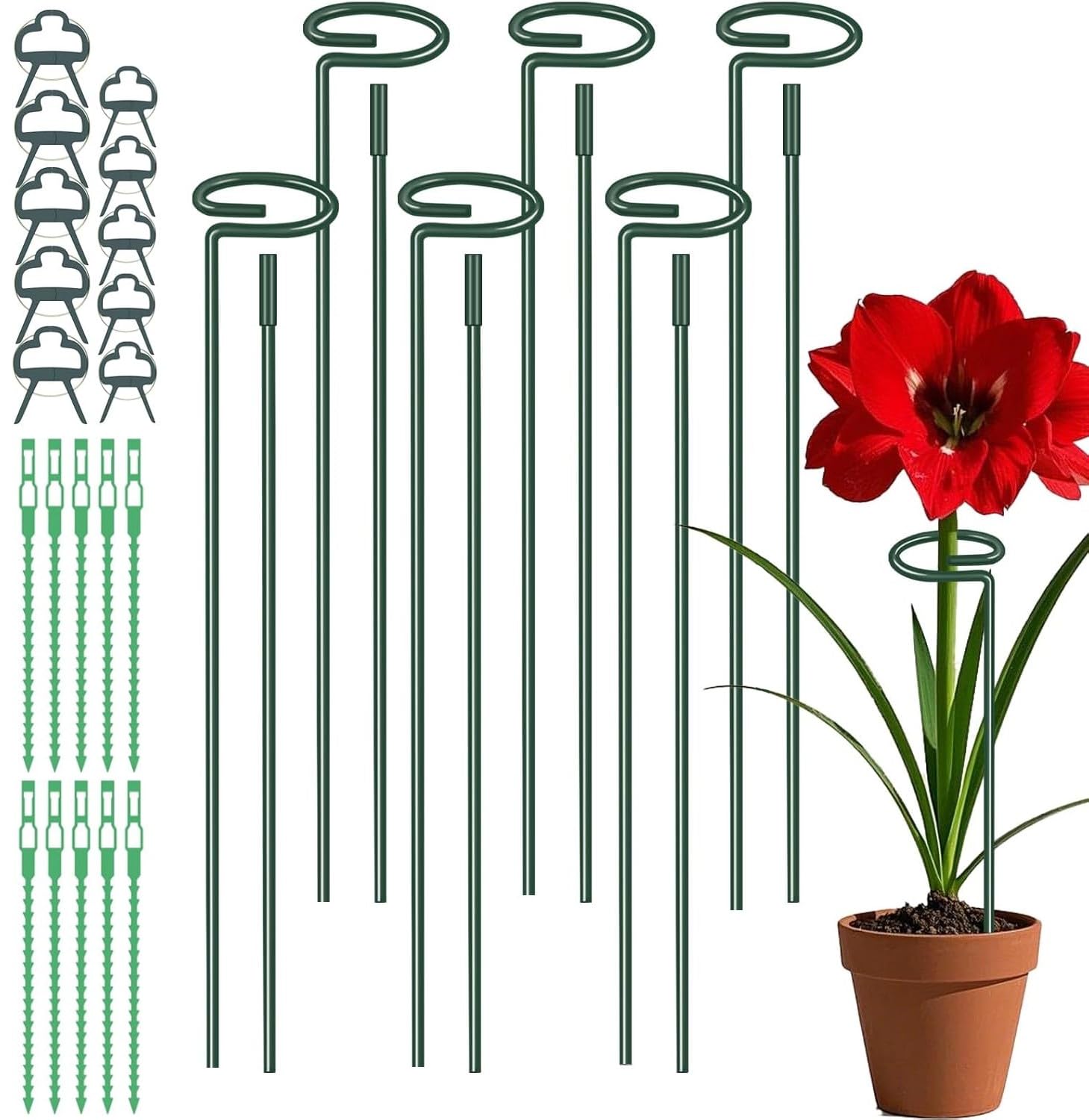 HTN - Supporto Per Piante 6 Pezzi Supporto Per Piante Anello Di Supporto Per Giardino Metallico Per Piante Fiori Verdure 40 Cm Jiujiuso 8068246562913