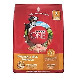 Purina ONE Chicken and Rice Formula Dry Dog Food - 8 lb. Bag