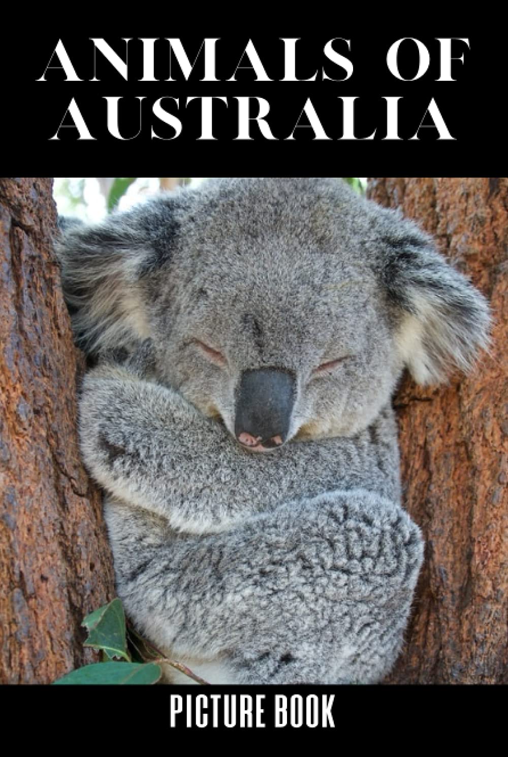 Animals of Australia: Australian Animals Picture Book: Gift for Dementia Patient