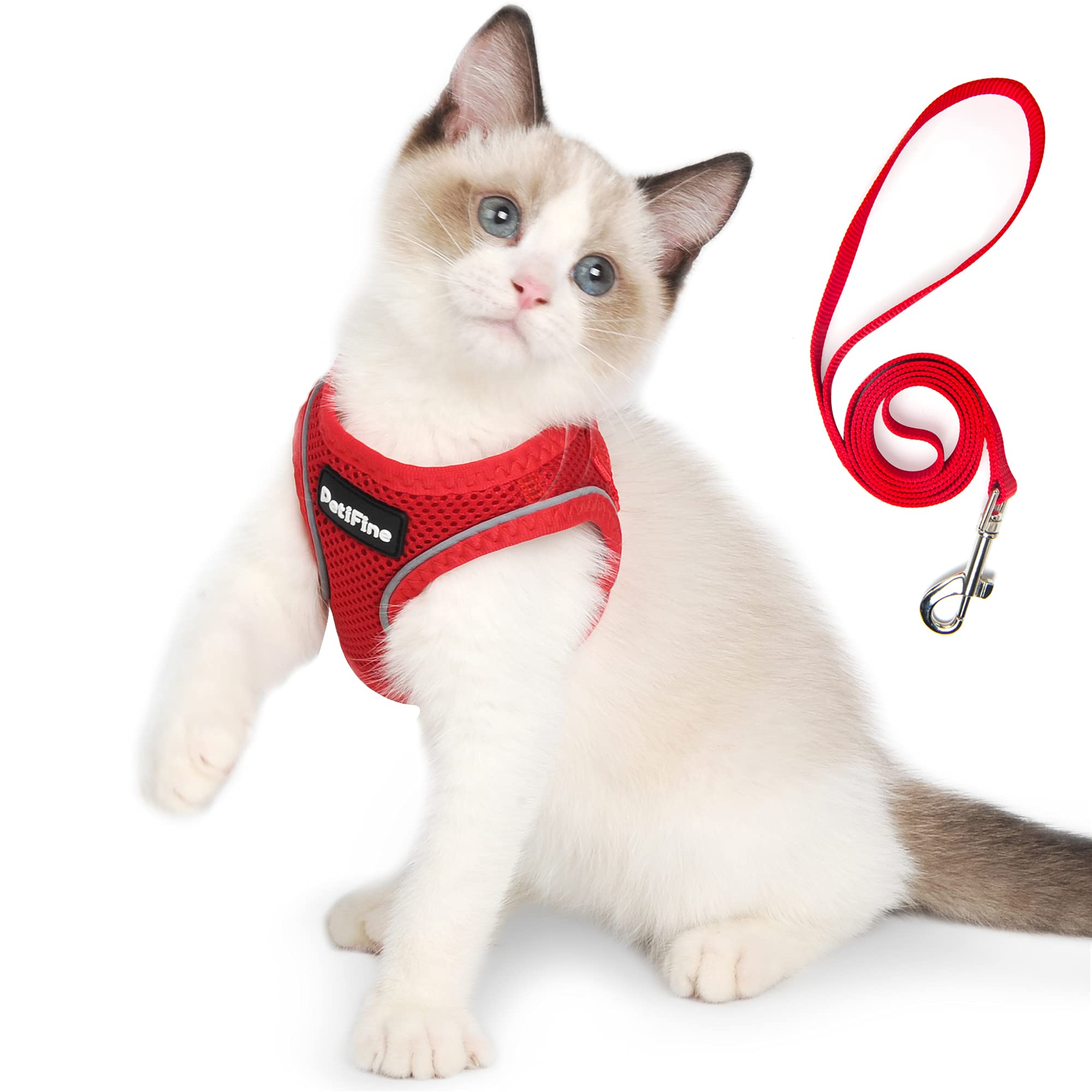 PetiFine Extra Small Step in Dog Harness and Leash Set, Cat Harness and Leash Escape Proof, All Weather Mesh Reflective, Step-in Air Vest Harnesses