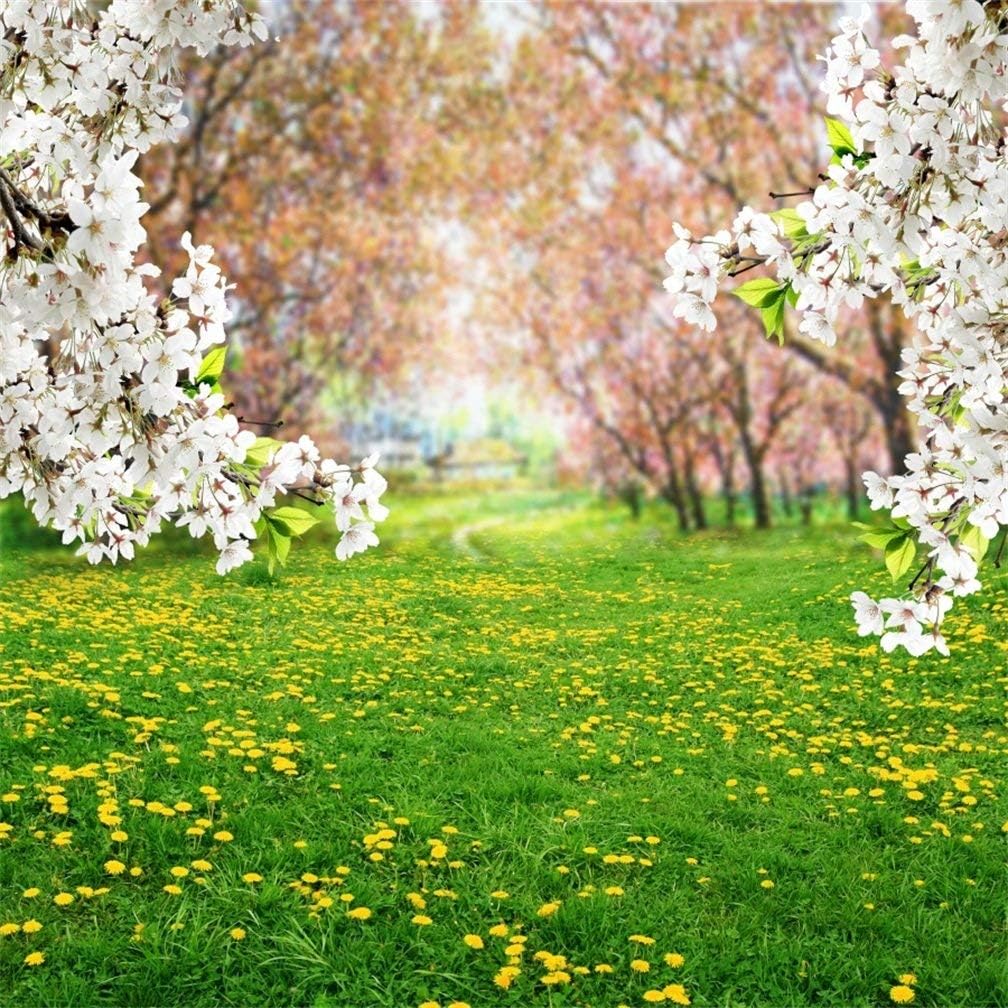 Amazon.com : AOFOTO 5x5ft Spring Scenic Backdrop Sweet White Cherry ...