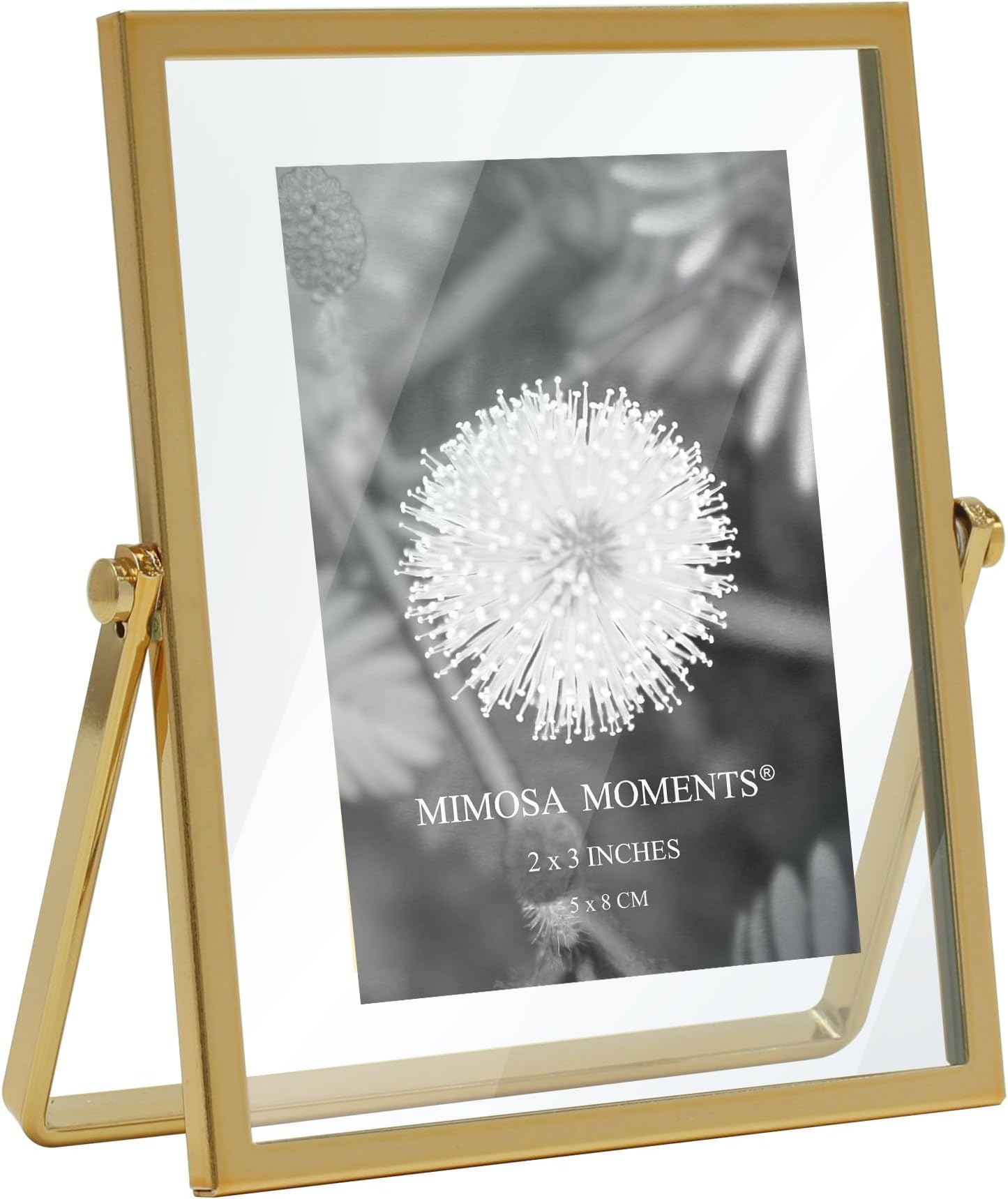 MIMOSA MOMENTS Brass Metal Floating Picture Frame (Brass, 2x3)