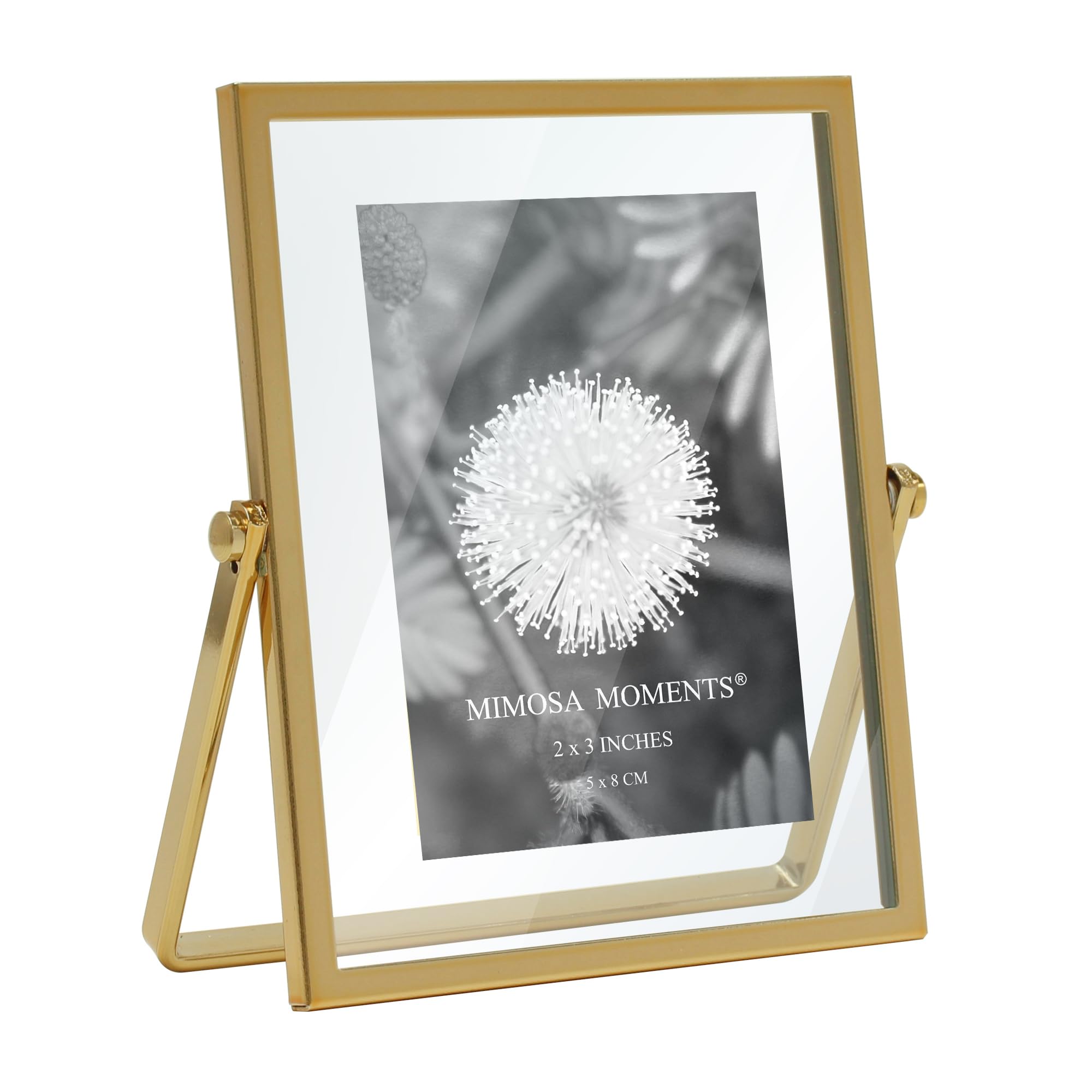 MIMOSA MOMENTS Brass Metal Floating Picture Frame (Brass, 2x3)