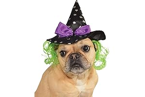 Rubie's Star Witch Hat: A Bewitching Costume for Your Canine Companion