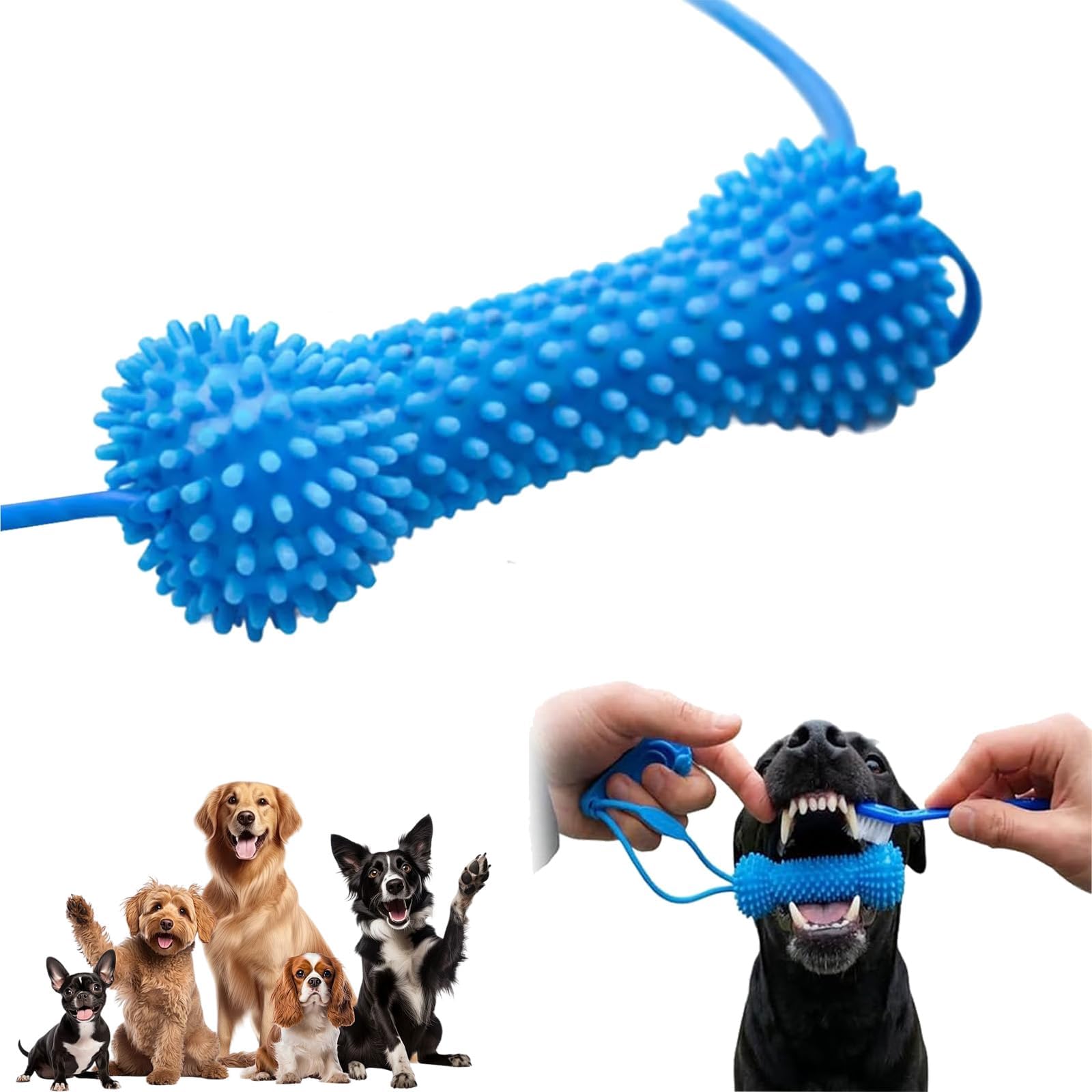 Dual-Action Canine Dental Prop, Teeth Cleaning Tools, Dog Dental Chew Toy for Easier Teeth Brushing, Dog Chew Toys, Pet Oral Care for Small, Dog Mouth Opener for Medium and Large Dogs