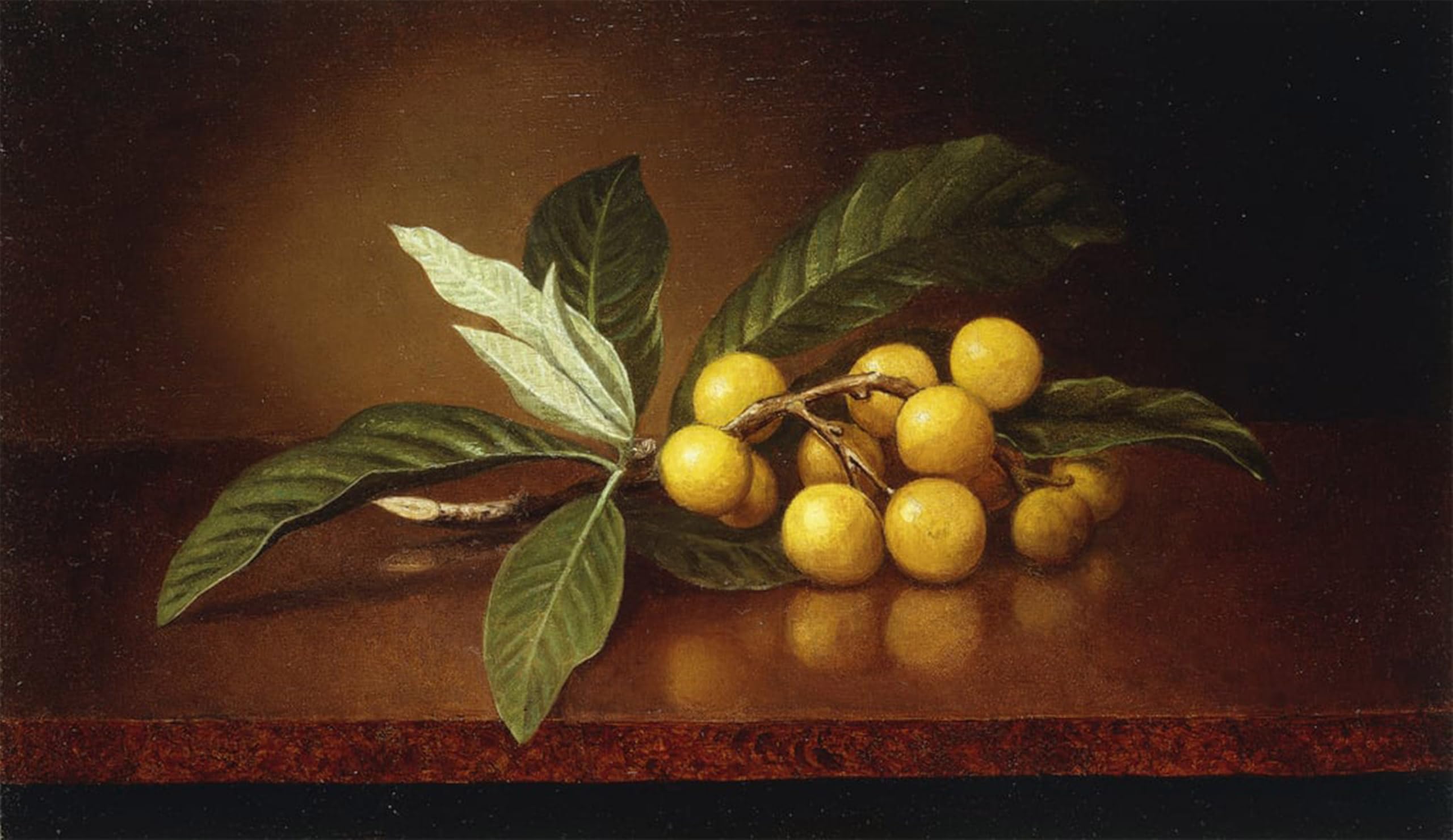 POSTERIIk Vintage Art Print Images Pictures Print Tropical Plums by Martins Johnson Heade Modern Colour Posters for Office Home Decor 60x90cm