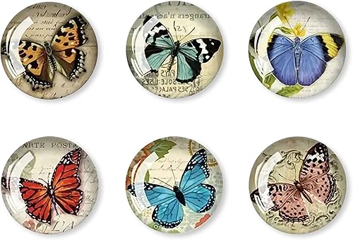 Miniatura 6 de Juego de 6 imanes dorados para decoración de abejorro de abeja, imanes de cocina para refrigerador, decoración de abeja, imanes dorados para cocina,