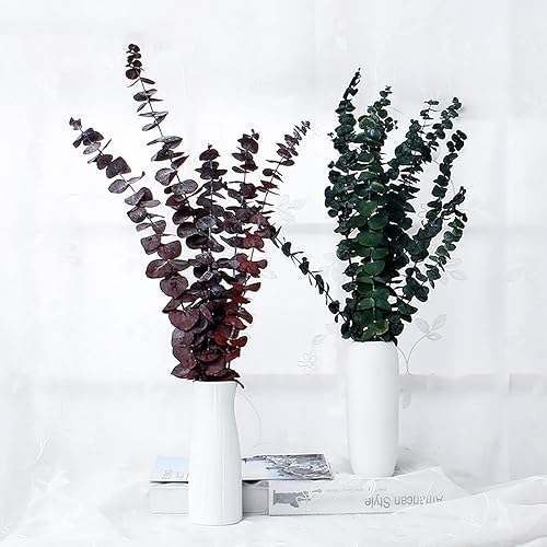 Miniatura 3 de WEDDLE 20 tallos de eucalipto secos, ramas de eucalipto reales de 17 pulgadas, flores inmortales de eucalipto 100% naturales, arreglo floral de