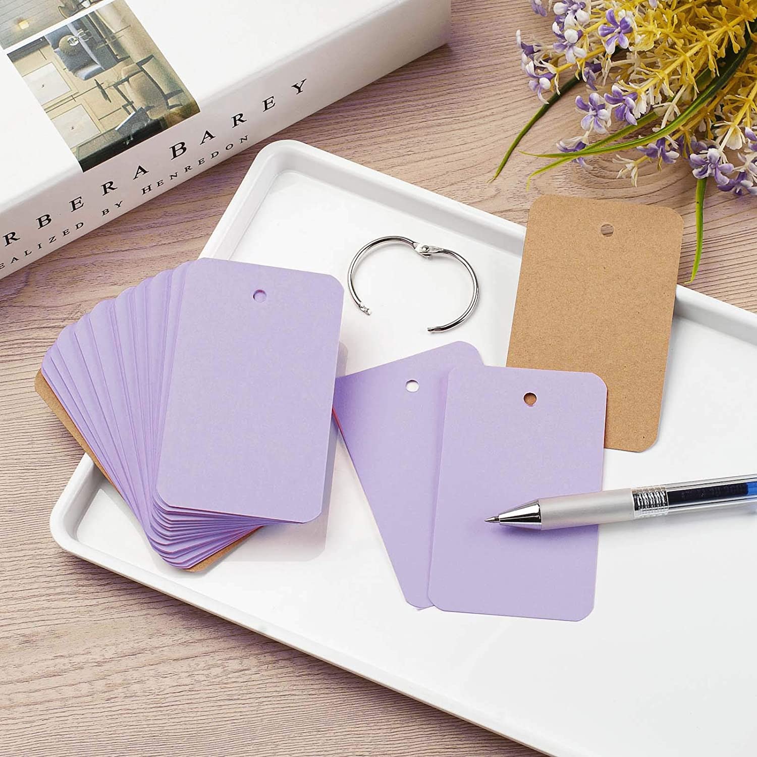 Flashcards 400 Pièces Paysage - Cartes De Révision Avec Anneaux (Bleu Rose Vert Blanc)