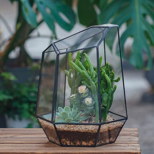 Miniatura 7 de NCYP Cerrar Terrario geométrico de vidrio con puerta - Maceta de vidrio irregular negra de 9.8 pulgadas de alto - Maceta moderna hecha a mano para