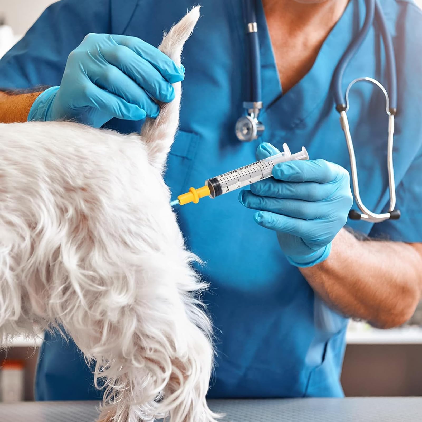 Set di 5 kit per l'allevamento di cani per inseminazione artificiale, kit di allevamento canino, kit per l'allevamento di cani per l'inseminazione artificiale, forniture per l'allevamento