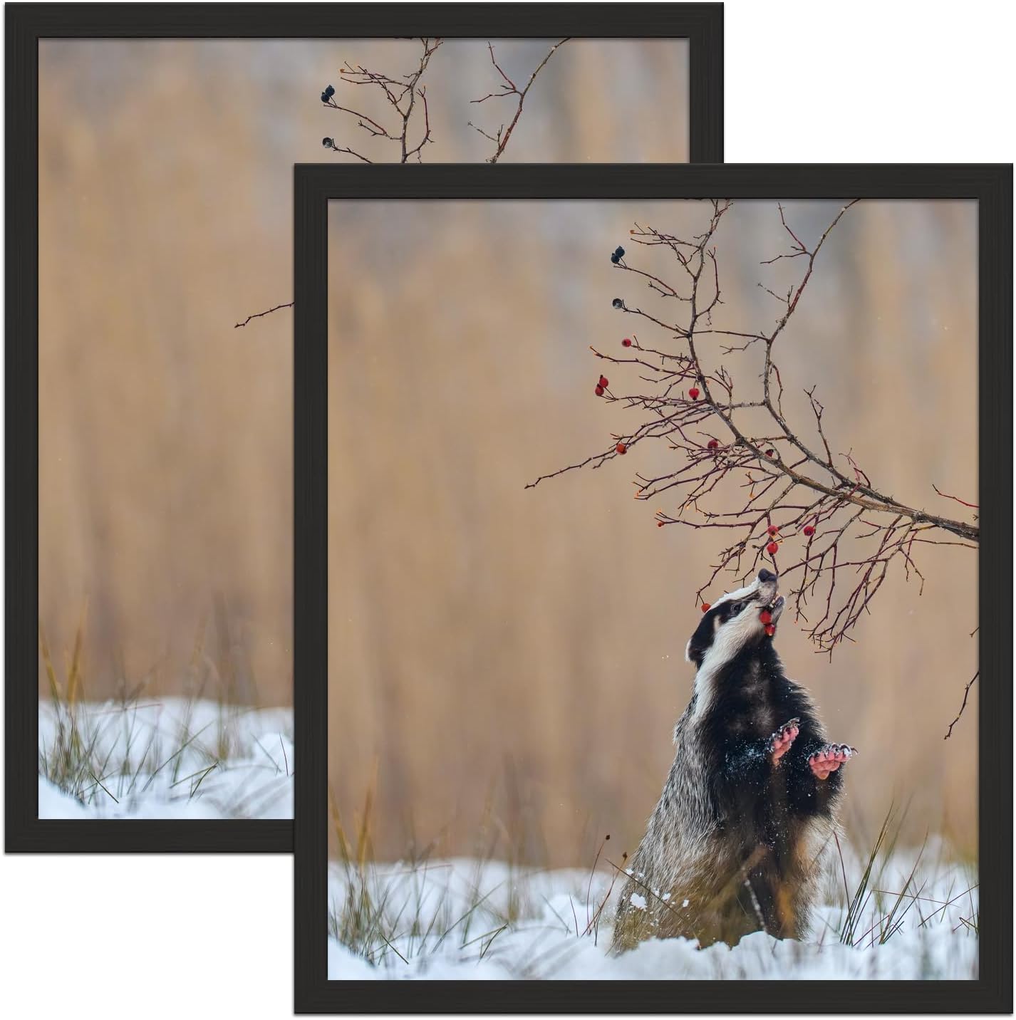 20x24 Poster Frame 2 Pack, Black Solid Wood Photo Picture Frame for Horizontal or Vertical Wall Mounting, Hanging Hardware Included 20"x24" Black