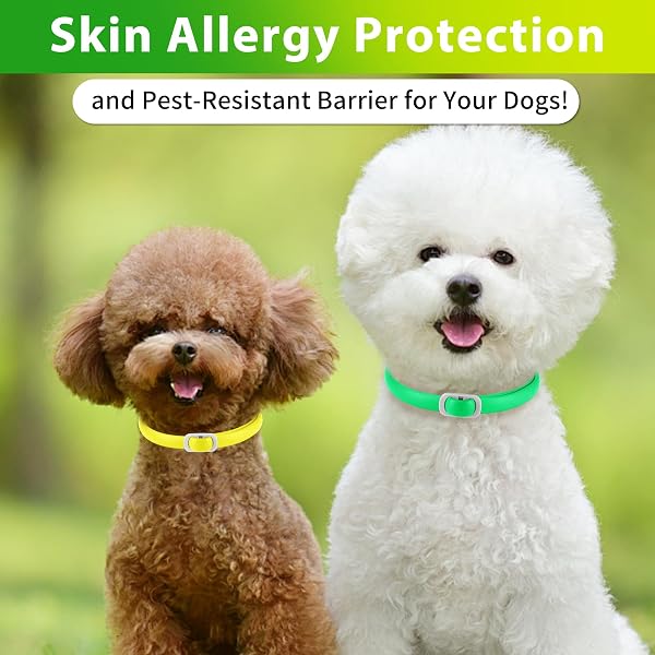 Collare per cani 4 pezzi, dog flea collar, regolabile e impermeabile, sicuro e naturale, lunghezza 60 cm, protezione 24 mesi, per tutti i cani - 3