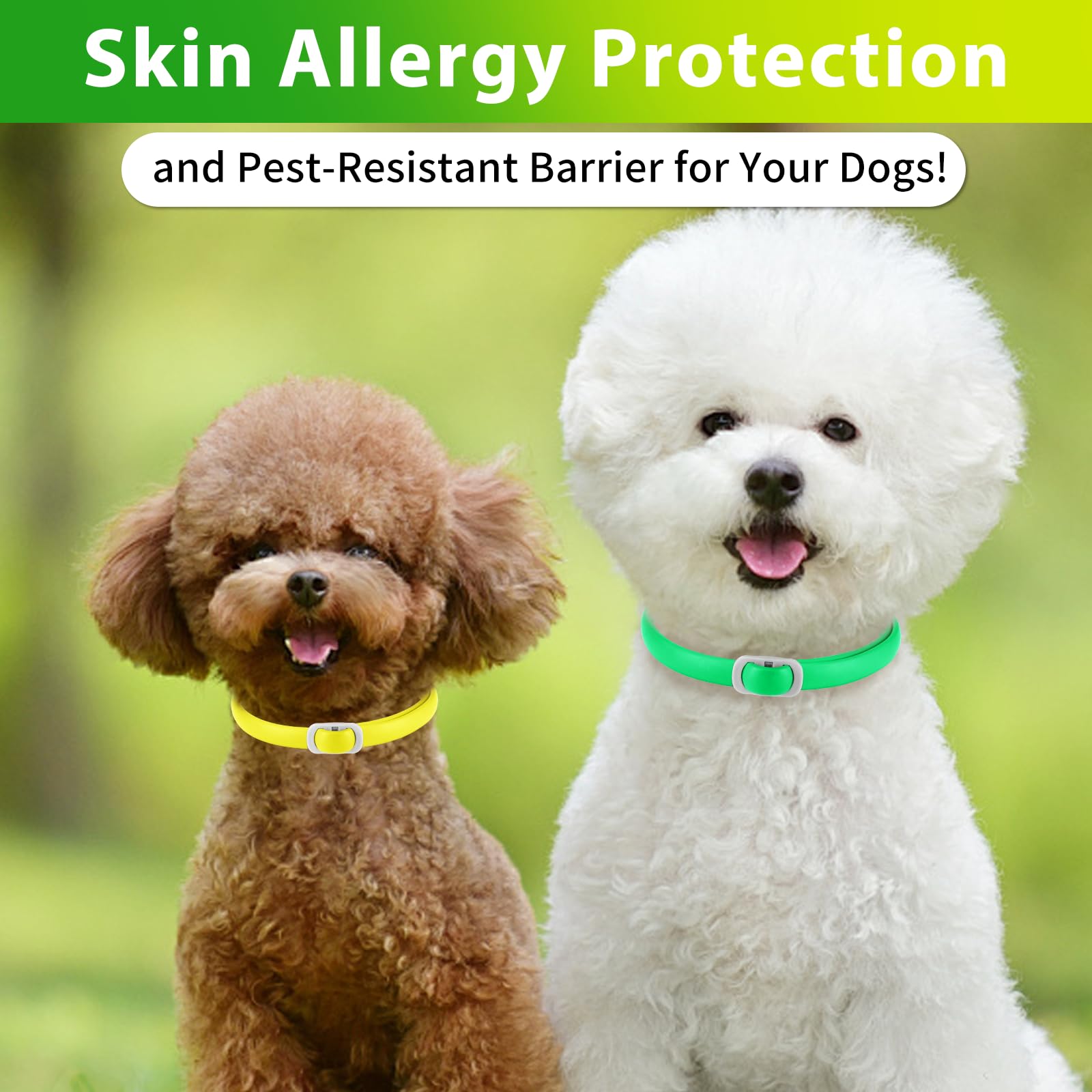 Collare per cani 4 pezzi, dog flea collar, regolabile e impermeabile, sicuro e naturale, lunghezza 60 cm, protezione 24 mesi, per tutti i cani - 3