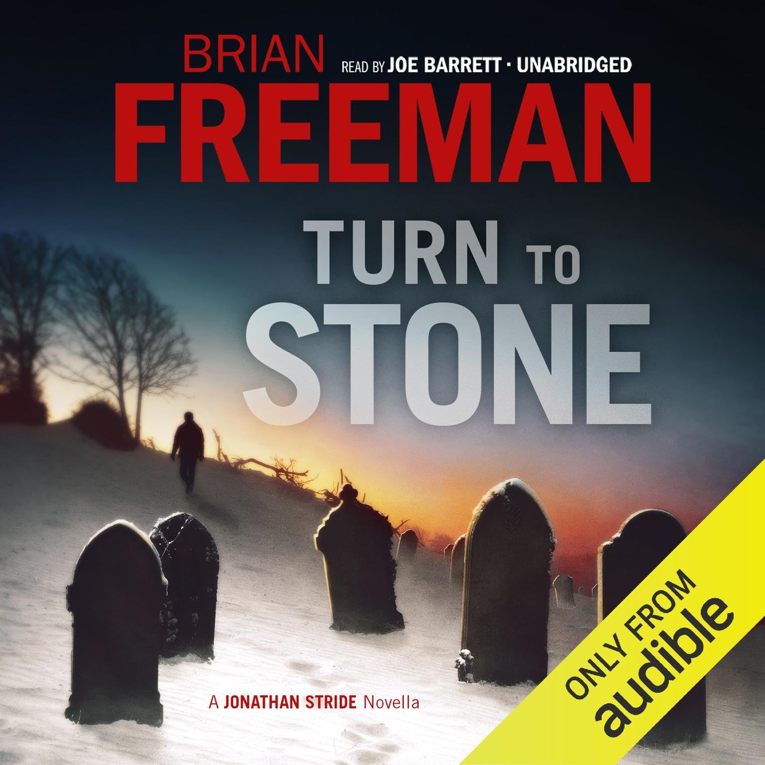 Cover art for Turn to Stone