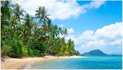 Amazon Mu3アクセント壁紙 椰子の木とビーチ W1060 H600mm 夏 海 南国 砂浜 空 写真 ウォールステッカー ポスター ウォールステッカー オンライン通販