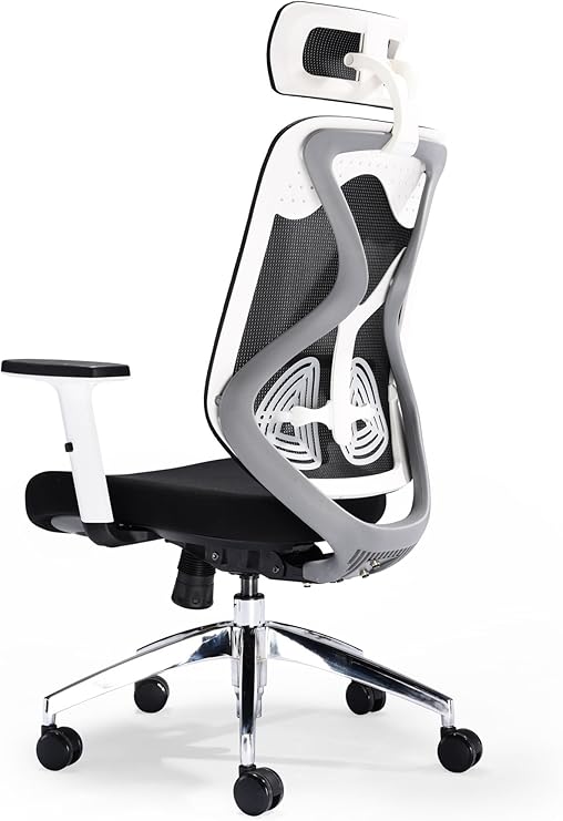 Office Hippo Ergonomic Mesh Office Chair, Desk Chair,Back & Head