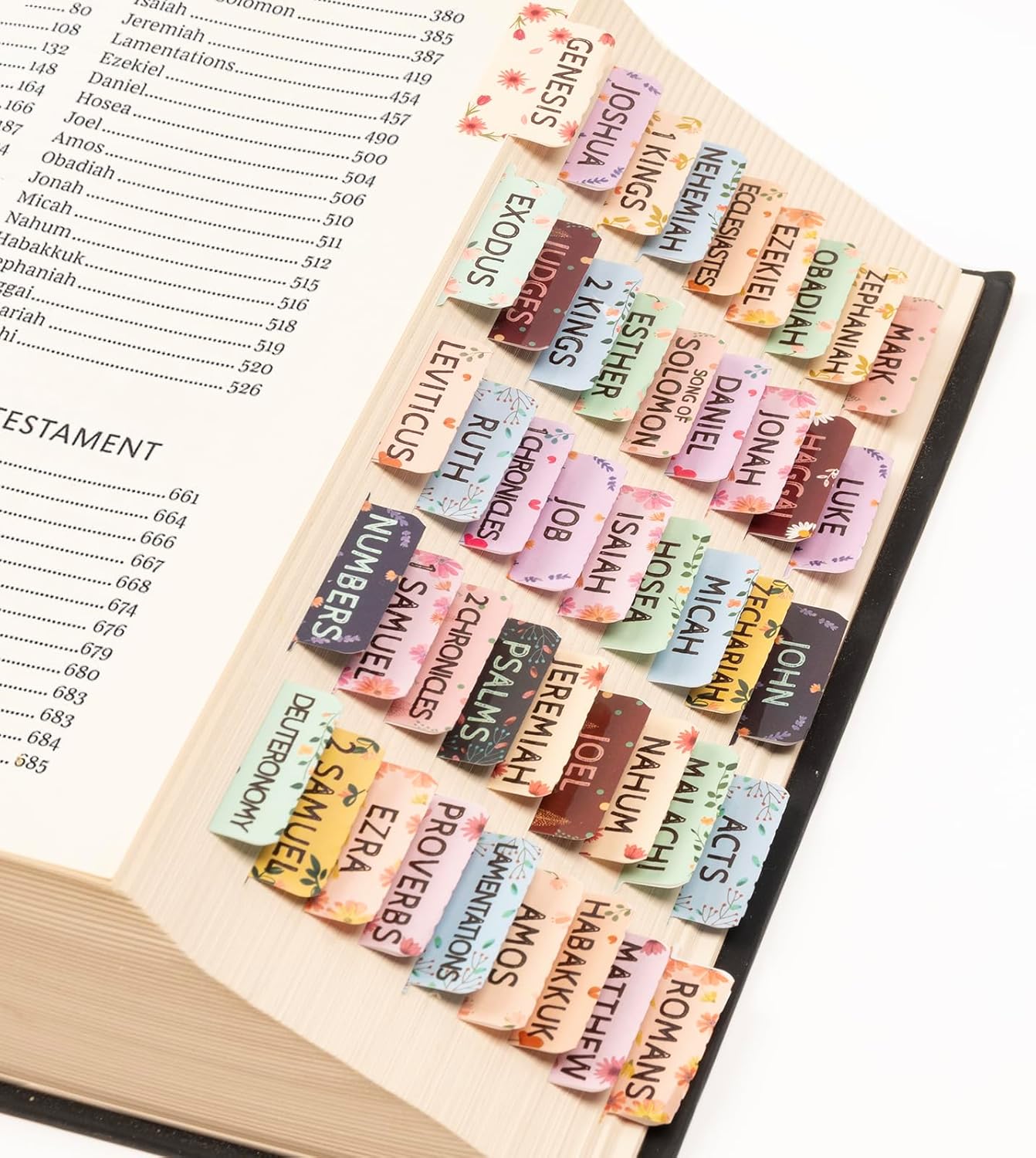 Lumintutu Laminated Bible Tabs, Large Print Bible Study Journaling Supplies, Christian Gift for Women and Men, Index Tabs for Old and New Testament, She Reads Truth Bible (Pastel Bloom)