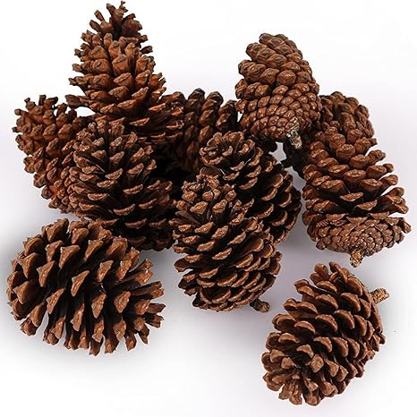 JOHOUSE 3.5-5Inch Natural Pine Cones Crafts, Natural Pinecone Ornaments Vase Fillers for Autumn and Winter Christmas Decorations