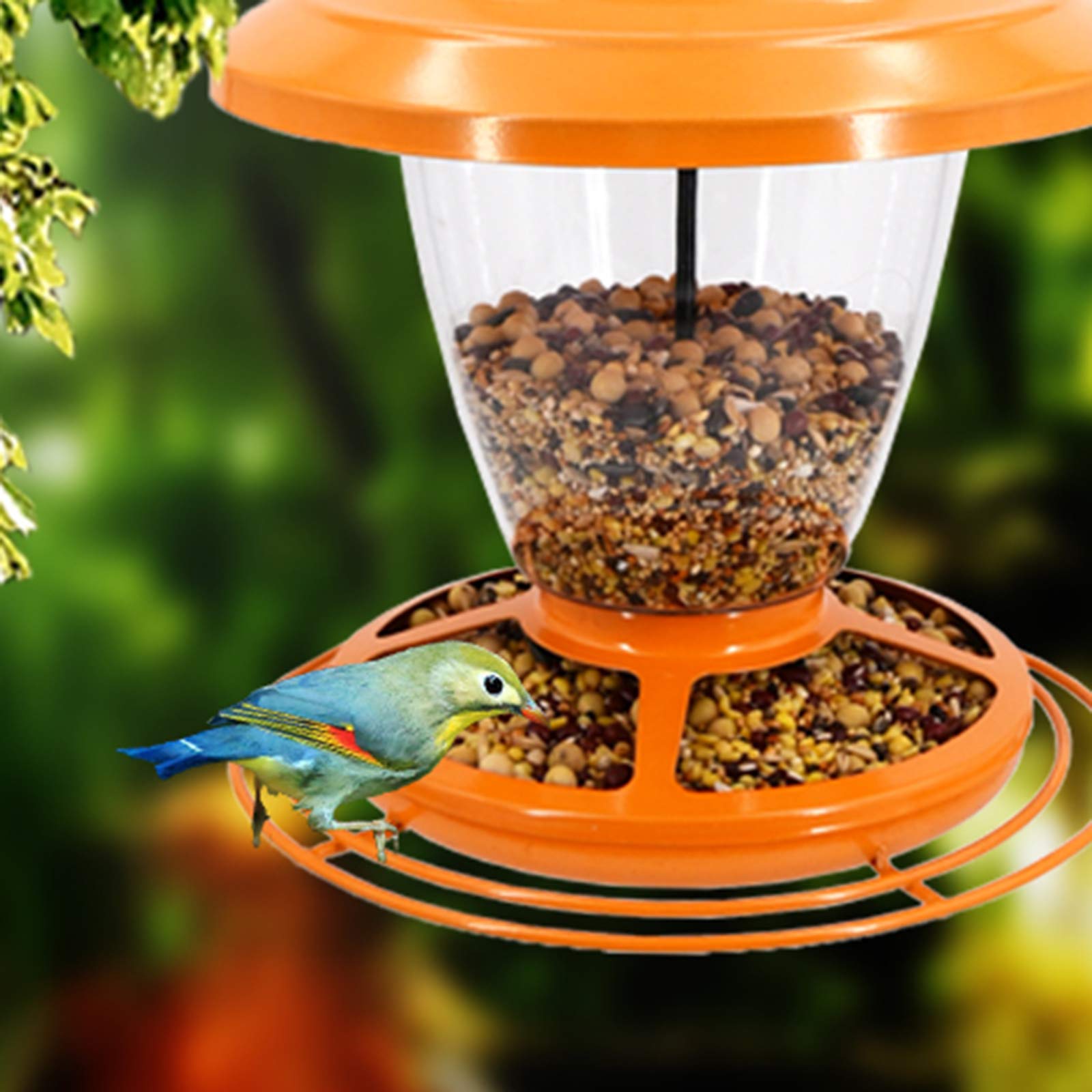 Futterspender für Vögel mit Anflugringen, Futterstation-Futtersäule für Wildvögel, Metall,Vogelfutterspender, vogelhaus zum aufhängen,transparente Outdoor Balkon Garten hängen Vogelhäuschen