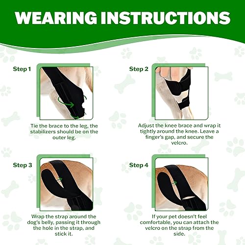 Miniatura 8 de Rodillera mediana para perro para desgarrarse en la pierna trasera, soporte ajustable para la pierna trasera del perro, soportes para piernas de
