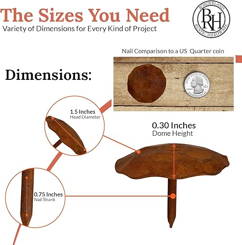 Miniatura 91 de 100 Pack 1" Small Round Head Iron Clavos Decorative Nails – Sealed Unfinished – Handmade Rustic Round Fasteners for Farmhouse Shutter, Faux Wood