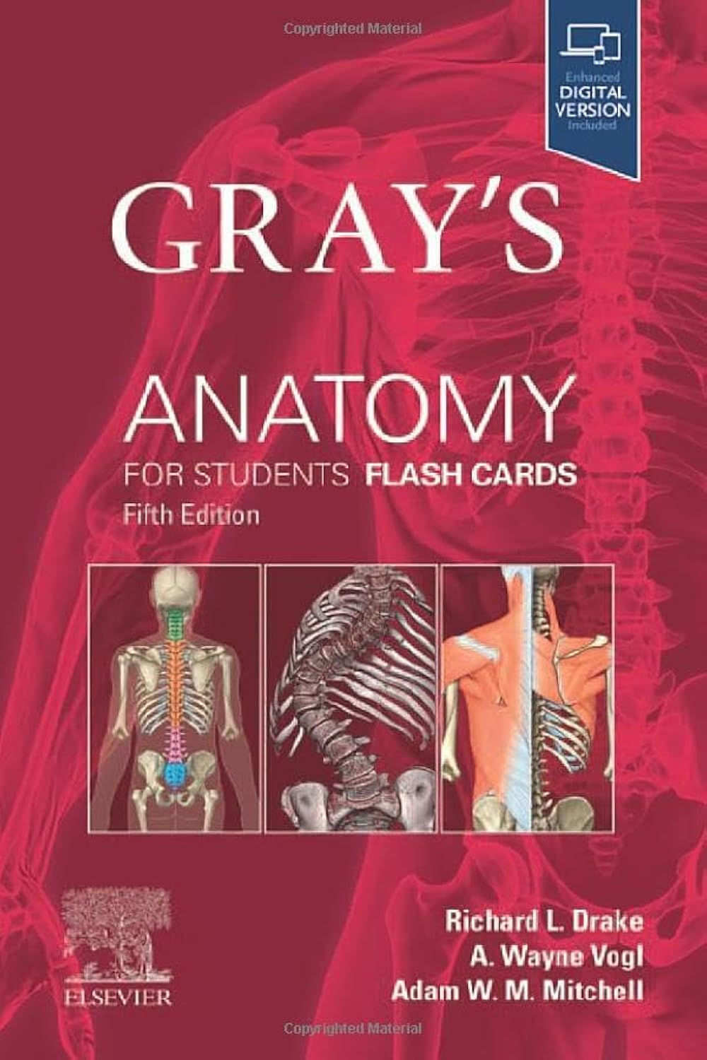 Gray's Anatomy for Students Flash Cards      5th Edition