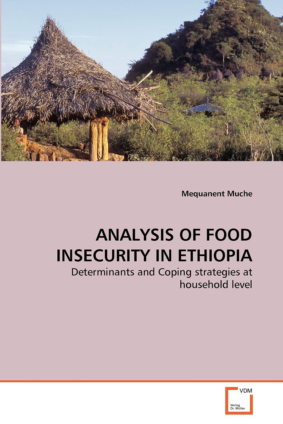 ANALYSIS OF FOOD INSECURITY IN ETHIOPIA: Determinants and Coping strategies at household level