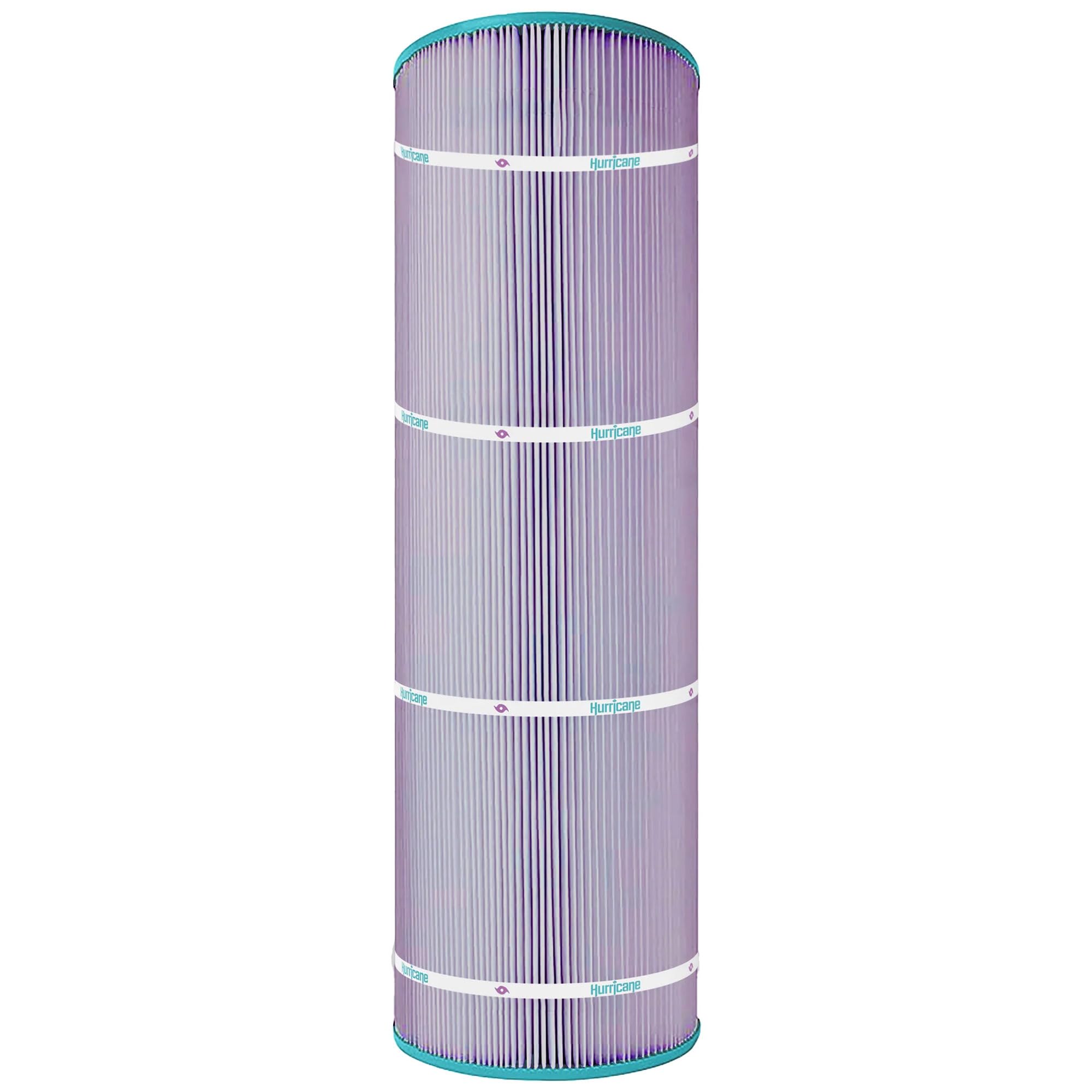 Amazon.com : Hurricane Filters HF8413-01P Platinum Purple Pool