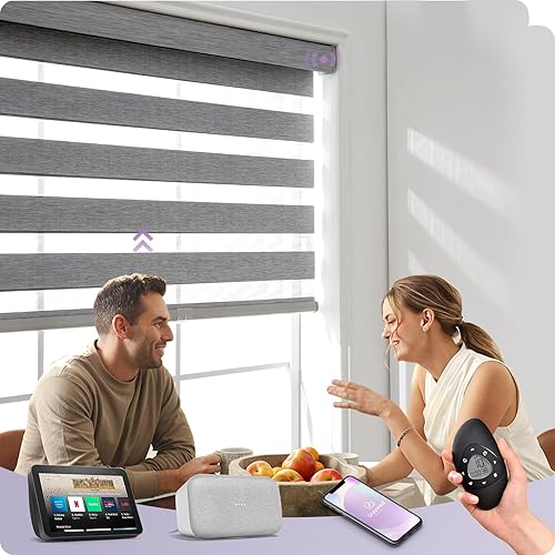 Graywind - Persianas motorizadas de cebra compatibles con Alexa, filtrado de luz horizontal para ventanas, persianas enrollables remotas con cenefa