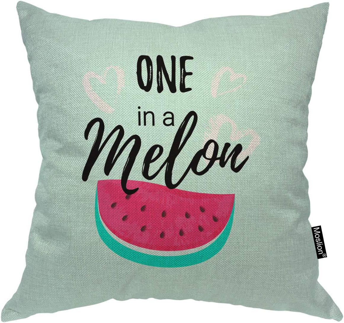 watermelon throw pillow
