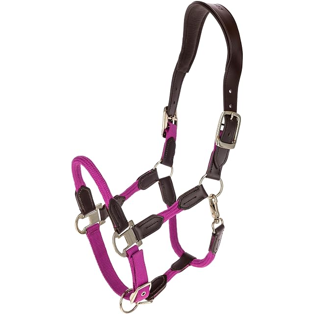Covalliero Cabestro de caballo Cordano Deluxe