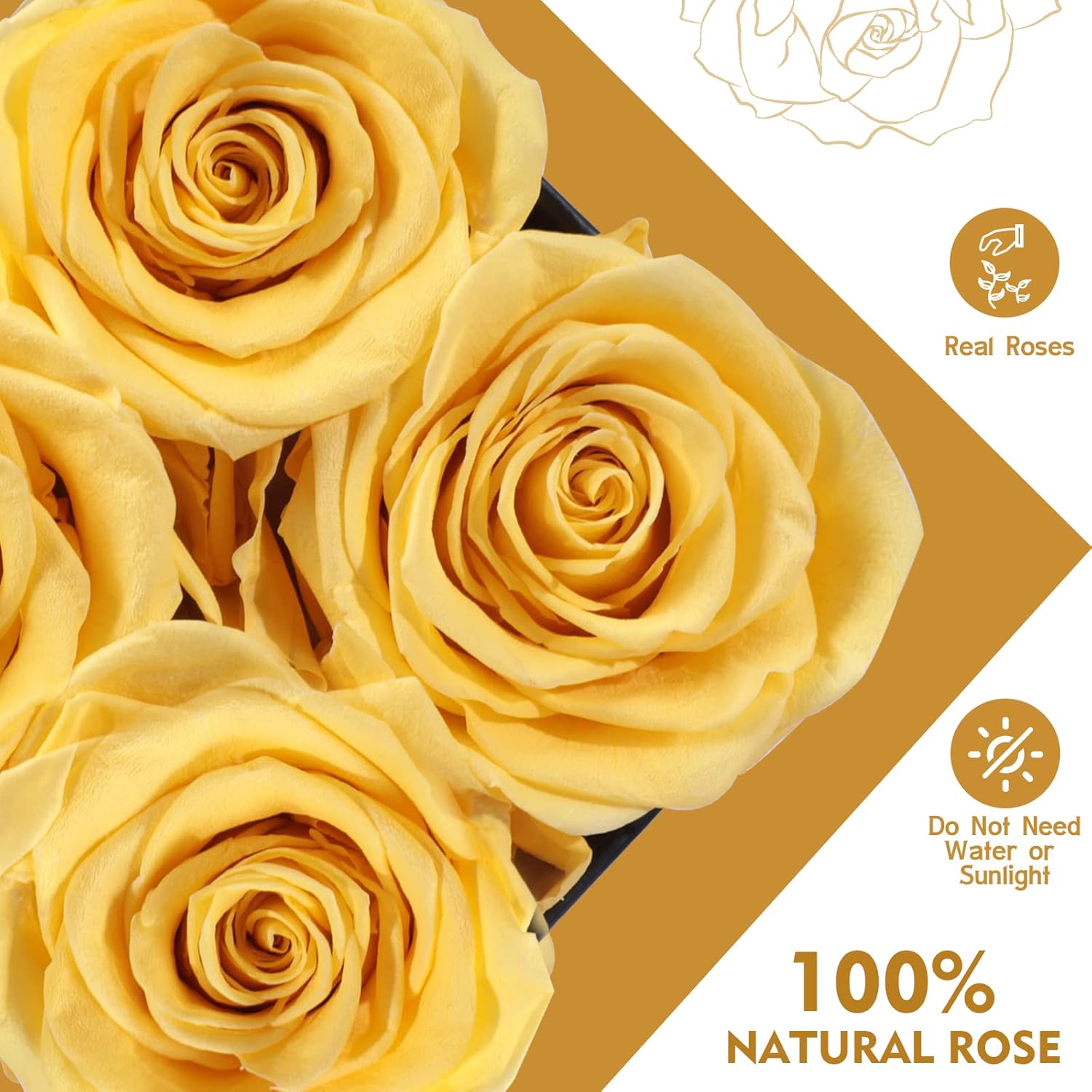 Preserved Rose,Gifts for Her, Birthday Gifts for Women, Gifts for Mom/Girlfriend/Wife/Grandma Christmas, Birthday, Valentine's Day - Image 3