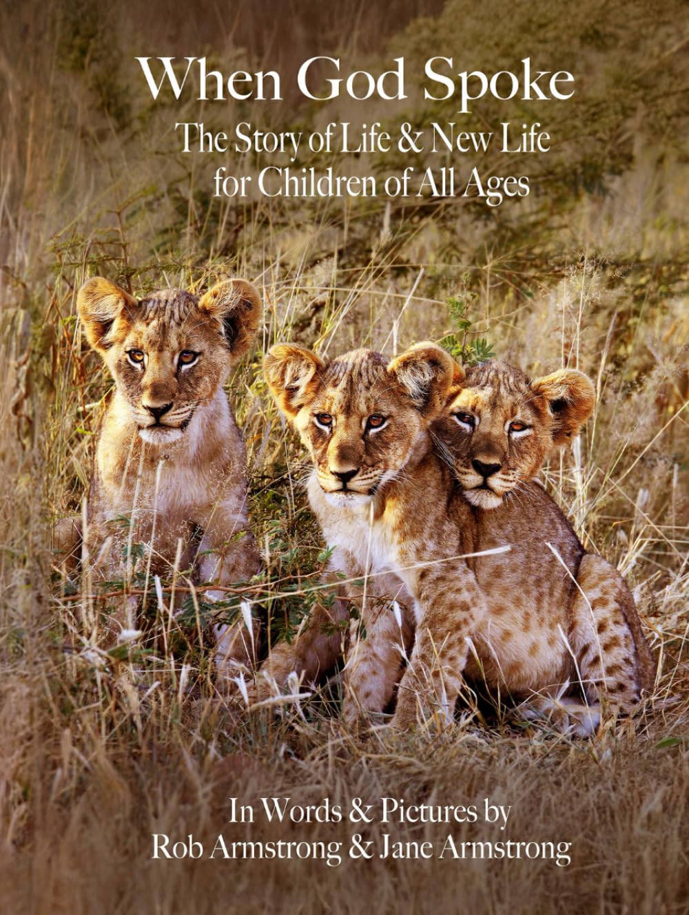 When God Spoke: The Story of Life & New Life for Children of All Ages      Hardcover – Large Print, November 27, 2025