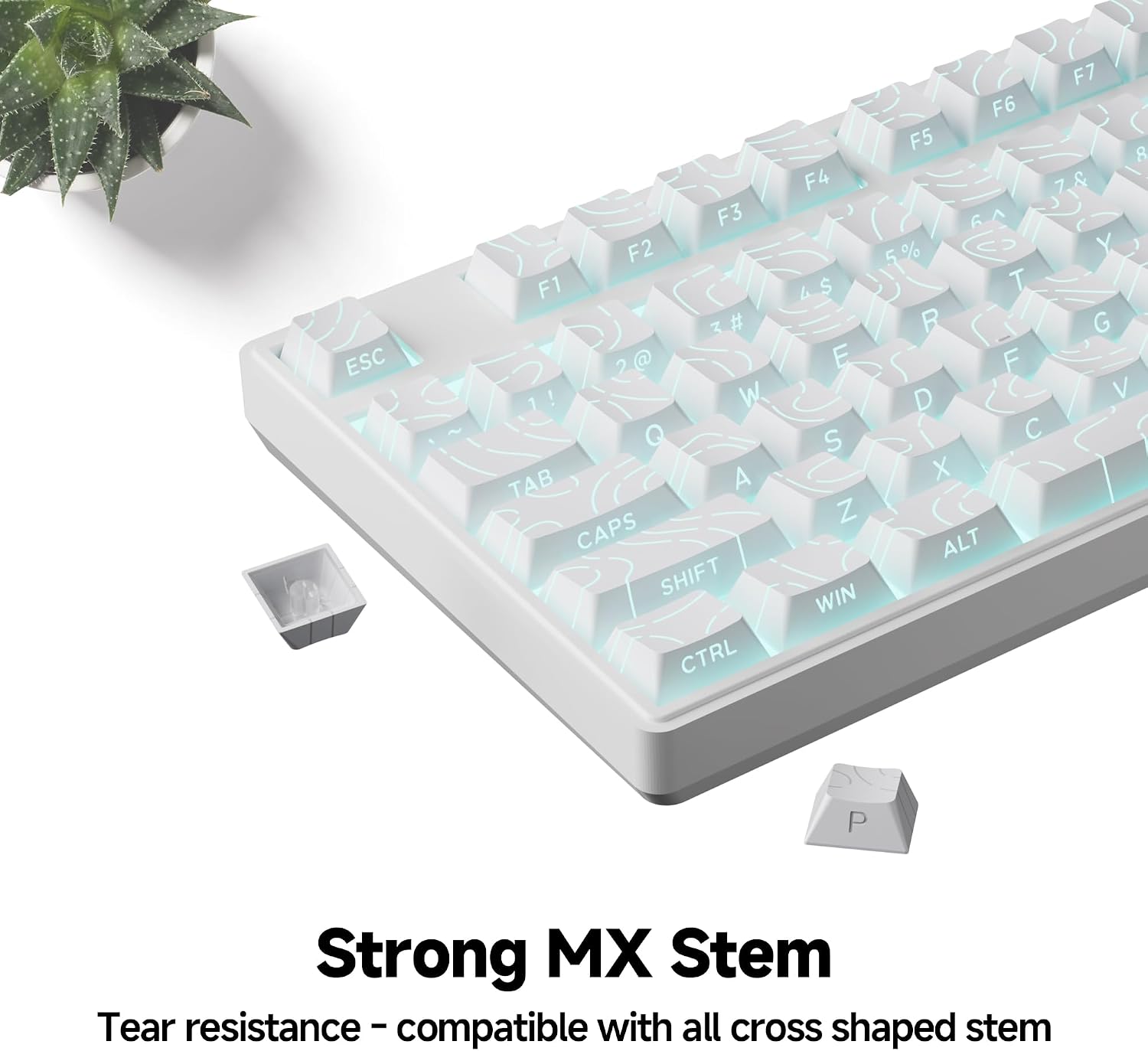 Aesthetic Shine Though PBT White Keycaps, Long Lasting and No Fade, Fit Upto 98% Layout (97 Key caps) Modern Topographic Keycaps for Mechanical Keyboard - Ergonomic (Doubleshot, MX, Cherry)