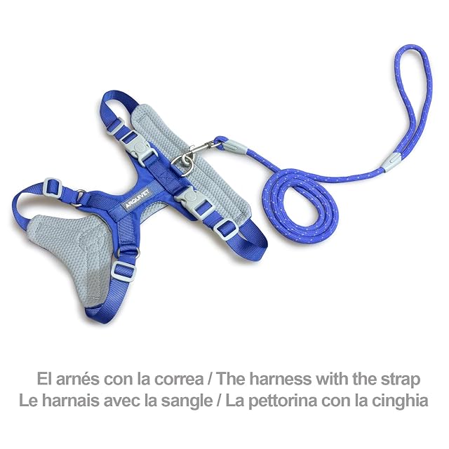 Foto 3 de 7 de ARQUIVET Arnés para Perro Roma Azul Oscuro M (49-68cm)