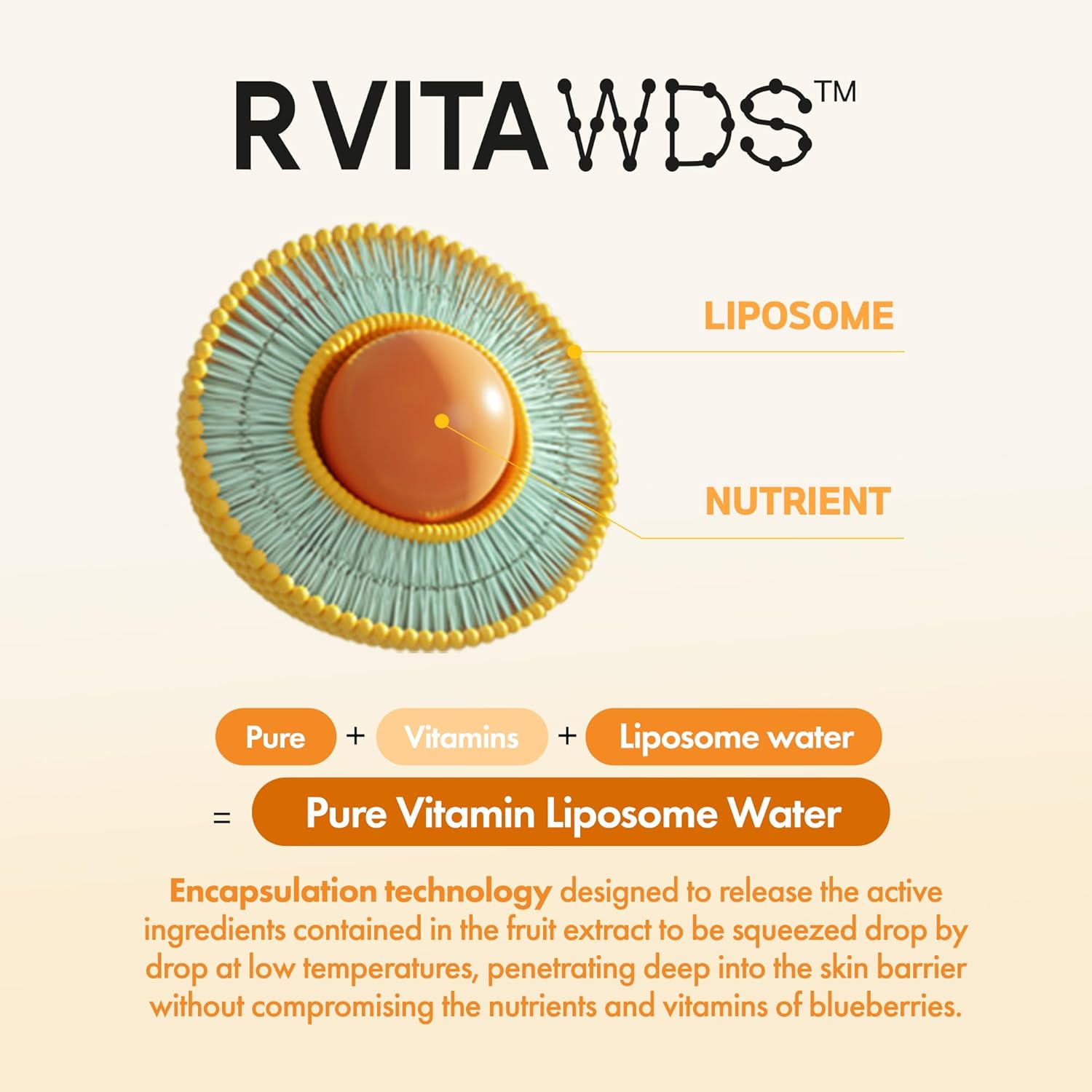 FRUDIA Citrus Brightening Vitamin C Ampoule - Lightweight Daily Vitamin C Serum for Dark Spots, Radiance and Hydrated Skin - 1.01 Fl Oz - Image 7