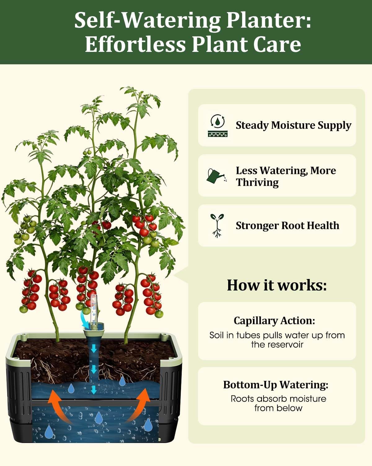 Self Watering Tomato Planter with Trellis, Rectangular Tomato Cages Trellis for Raised Garden Bed, Tomato Planters Box for Garden Pots Patio Indoor Outdoor (Rectangular, 2PC)