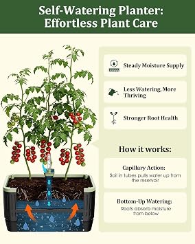 Self Watering Tomato Planter with Trellis, Rectangular Tomato Cages Trellis for Raised Garden Bed, Tomato Planters Box for Garden Pots Patio Indoor Outdoor (2)