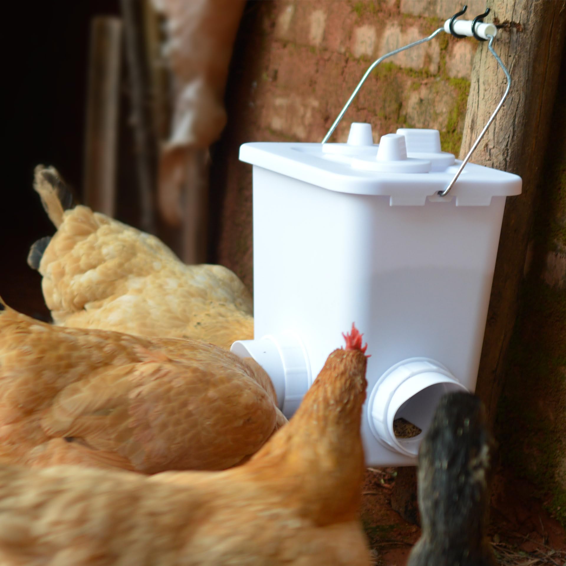 TGEYD Hühnerfutterspender Mit 4,5 Kg Fassung, Wasserdicht & Automatisch, 3 Futteröffnungen Für Küken & Hühner (inkl. Aufhänge-Set)