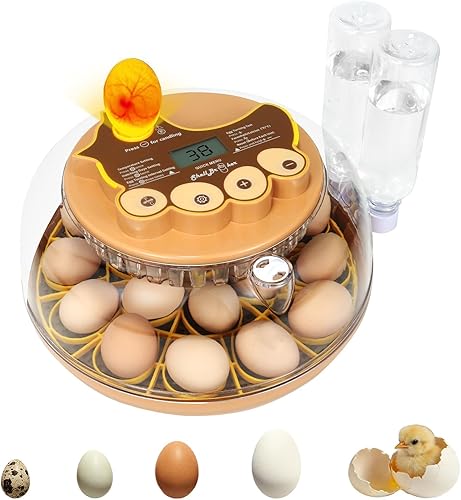 Miniatura 18 de Nest I - Incubadora de 12 huevos para principiantes, giro automático de huevos, humedad constante con botella de agua de recarga automática